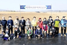 파주시, 민통선 장단땅에 기능성 홍잠생산 뽕나무 식재 | 위키트리 파주시, 민통선 장단땅에 기능성 홍잠생산 뽕나무 식재