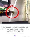 버스기사 선의에 목숨 구한 고속도로 유기견 | 위키트리 버스기사 선의에 목숨 구한 고속도로 유기견