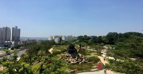 포항시, 기후위기대응 상생숲길 나무심기 행사 개최 | 위키트리 포항시, 기후위기대응 상생숲길 나무심기 행사 개최