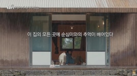 “처음이었다”… 이효리가 제주도 옛 빈 집에 다시 돌아간 이유 | 위키트리 “처음이었다”… 이효리가 제주도 옛 빈 집에 다시 돌아간 이유