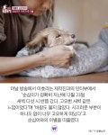 “정말 눈물 난다” 이효리가 공개한 순심이의 마지막 | 위키트리 “정말 눈물 난다” 이효리가 공개한 순심이의 마지막