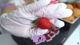 마마무 솔라가 딸기를 먹는 방법… 정말 의외의 부분이 논란되고 있다 (움짤∙영상) | 위키트리 마마무 솔라가 딸기를 먹는 방법… 정말 의외의... 