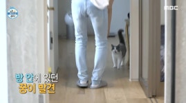 “심장 멎는 줄...” 어제(28일) 나 혼자 산다 진짜 주인공이란 말 나온 출연자 | 위키트리 “심장 멎는 줄...”  어제(28일) 나 혼자 산다 진짜... 