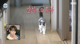 “심장 멎는 줄...” 어제(28일) 나 혼자 산다 진짜 주인공이란 말 나온 출연자 | 위키트리 “심장 멎는 줄...”  어제(28일) 나 혼자 산다 진짜... 