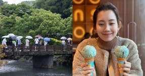 수요일(16일) 날씨, 전라·경상·제주 비… 전국 다시 30도 무더위 | 위키트리 수요일(16일) 날씨, 전라·경상·제주 비… 전국 다시 30도 무더위