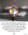 폰 떨어진 거야 아기 떨어트리고 거짓말한 산후도우미 | 위키트리 폰 떨어진 거야 아기 떨어트리고 거짓말한 산후도우미