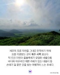 글로코스제주 | “제주도가 식상해?” 려원, 한예슬도 다녀간 핫플 '포도뮤지엄' | 위키트리 “제주도가 식상해?” 려원, 한예슬도 다녀간 핫플 '포도뮤지엄'