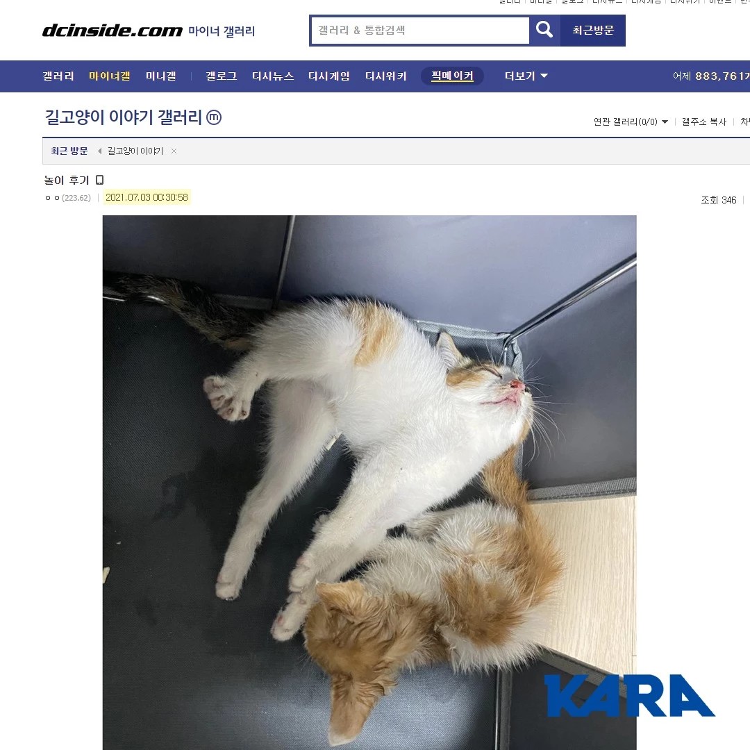 디시인사이드 우울증 갤러리에서 성폭행한 20대 남성 2명, 검찰에 의해 중형 구형된 사례에서 중형 구형 사건들을 검찰 징역 10~15년 선고 받아