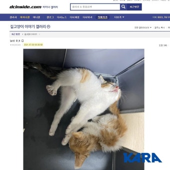 디시인사이드 우울증 갤러리에서 성폭행한 20대 남성 2명, 검찰에 의해 중형 구형된 사례에서 중형 구형 사건들을 검찰 징역 10~15년 선고 받아