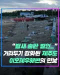 밤새 술판 벌인... 거리두기 강화된 제주도 이호테우해변의 민낯 | 위키트리 밤새 술판 벌인... 거리두기 강화된 제주도 이호테우해변의 민낯