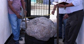 우리 집 우물에 들어 있었던 이것이 1155억원짜리라고 하네요 (사진·영상) | 위키트리 우리 집 우물에 들어 있었던 이것이... 