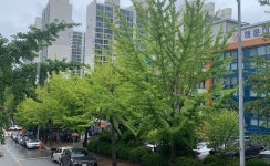 부산 해운대 보건소 앞, 코로나19 검사 받기 위해 장사진 | 위키트리 부산 해운대 보건소 앞,  코로나19 검사 받기 위해 장사진
