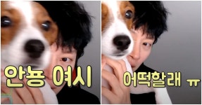 김희철 “기복이는 귀엽기라도 하지, 너네는…” 여성시대 초강력 저격 (영상) | 위키트리 김희철 “기복이는 귀엽기라도 하지, 너네는... 