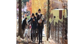 포항시, 반려동물 테마공원 포항댕댕동산 개장 | 위키트리 포항시,  반려동물 테마공원  포항댕댕동산 개장