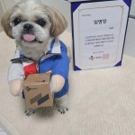 “이별 준비 중…” 경태희 아부지가 전한 택배견 태희의 안타까운 소식 | 위키트리 “이별 준비 중…” 경태희 아부지가 전한 택배견 태희의... 
