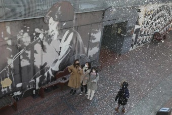 '정동원 길' '송가인 길'… 전국에 명예도로가 몇 개나 있는지 알아봤습니다 | 위키트리 '정동원 길' '송가인 길'… 전국에 명예도로가 몇 개나...