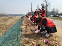 파주시, 교하동 공릉천 하지석동에 둔치 꽃밭 조성 | 위키트리 파주시, 교하동 공릉천 하지석동에 둔치 꽃밭 조성
