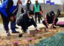 파주시, 교하동 공릉천 하지석동에 둔치 꽃밭 조성 | 위키트리 파주시, 교하동 공릉천 하지석동에 둔치 꽃밭 조성