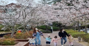 [포토]어린이집 아이들의 봄맞이 | 위키트리 [포토]어린이집 아이들의 봄맞이