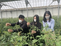 전남 화순군, 농촌지도사 학습동아리로 역량 강화 | 위키트리 전남 화순군, 농촌지도사 학습동아리로 역량 강화