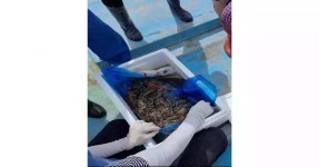 포항시, 지속 가능한 어촌 실현 나서 | 위키트리 포항시, 지속 가능한 어촌 실현 나서