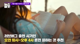 [뉴스마켓] 길어야 일주일밖에 못 사는 운명… 러브버그의 모든 것 | 위키트리 [뉴스마켓] 길어야 일주일밖에 못 사는 운명… 러브버그의 모든 것