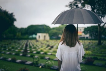 부친상 당한 김준호에게 연인 김지민이 보인 행동, 눈시울 붉어진다 | 위키트리 부친상 당한 김준호에게 연인 김지민이 보인 행동, 눈시울 붉어진다