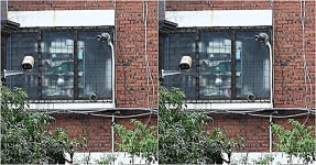 추석 연휴, 부산 양정동의 한 빌라에서 여성 시신 2구 발견 | 위키트리 추석 연휴, 부산 양정동의 한 빌라에서 여성 시신 2구 발견