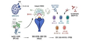 더 강력해진 코로나19변이 확실히 잡는다! | 위키트리 더 강력해진 코로나19변이  확실히  잡는다!