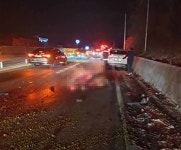 승마장 탈출한 말 때문에 발생한 끔찍한 사고… 현장에서 말 즉사 (충남 공주) | 위키트리 승마장 탈출한 말 때문에 발생한 끔찍한 사고... 