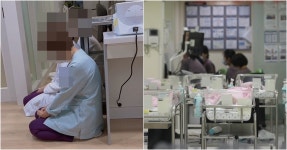 사스가 안산 - 안산 갤러리