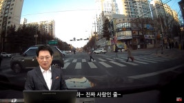 사람처럼 횡단보도 건넌 자동차 (영상) | 위키트리 올 타임 레전드 매일 새로 갱신... 사람처럼 횡단보도 건넌 자동차 (영상)