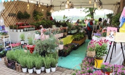 이곳에 오면 모두가 꽃이 된다...고양국제꽃박람회 | 위키트리 이곳에 오면 모두가 꽃이 된다...고양국제꽃박람회