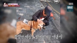 윤 대통령·김건희 여사, 28일 방송된 동물농장에 깜짝 등장한 이유 | 위키트리 윤 대통령·김건희 여사, 28일 방송된 동물농장에 깜짝 등장한... 