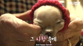 얼마 못 산다는 수의사 말 들을까 봐 귀 막아주는 할머니 (SNS 퍼진 사진의 정체) | 위키트리 얼마 못 산다는 수의사 말 들을까 봐 귀 막아주는... 