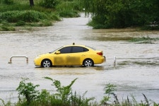 실종·침수 피해 속출… 시간당 70mm 폭우 쏟아진 광주·전남 현재 상황 | 위키트리 실종·침수 피해 속출… 시간당 70mm 폭우 쏟아진 광주·전남... 