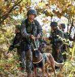경례 안 한다고 병사 뺨 때린 육군 대령의 최후 | 위키트리 경례 안 한다고 병사 뺨 때린 육군 대령의 최후