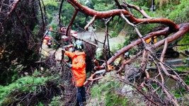 [속보] 충남 논산 양지추모공원 산사태 발생해 납골당 4명 매몰... 2명 심정지 | 위키트리 [속보] 충남 논산 양지추모공원 산사태 발생해 납골당... 