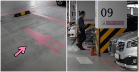 그동안 말 많았던 여성우선주차장의 최후, 내일(18일)이면 싹 사라진다 | 위키트리 그동안 말 많았던 여성우선주차장의 최후, 내일(18일)이면... 