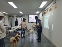 서정대학 HiVE사업, 반려동물예절교육프로그램 운영 | 위키트리 서정대학 HiVE사업, 반려동물예절교육프로그램 운영