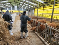 전남 함평군 수의사회, 수해 축산농가 방문 진료 봉사 실시 | 위키트리 전남 함평군 수의사회, 수해 축산농가 방문 진료 봉사 실시