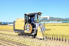 강수현 양주시장, 남면 한산뜰 벼베기 작업 동참 | 위키트리 강수현 양주시장, 남면 한산뜰 벼베기 작업 동참