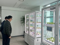 인천 연수구, 송도노인복지관에 시니어 스마트팜 설치 | 위키트리 인천 연수구, 송도노인복지관에 시니어 스마트팜 설치