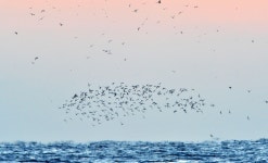 구룡포 한 해수욕장에서 30대 여성 숨진 채 발견 | 위키트리 구룡포 한 해수욕장에서 30대 여성 숨진 채 발견