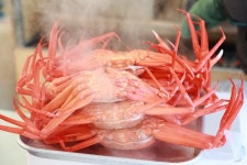 [현장르포]참을 수 없는 붉은 빛의 유혹, 니들이 게맛을 알아? | 위키트리 [현장르포]참을 수 없는 붉은 빛의 유혹, 니들이 게맛을 알아?