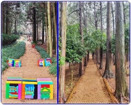 전남 장흥군 정남진 편백숲 우드랜드, 봄철 관광객 맞이 구슬땀 | 위키트리 전남 장흥군 정남진 편백숲 우드랜드, 봄철 관광객 맞이 구슬땀