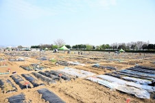 파주시, 금촌동 시민주말농장 개장···11월까지 운영 | 위키트리 파주시, 금촌동 시민주말농장 개장···11월까지 운영