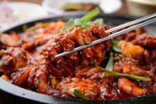2tv 저녁 생생정보통 맛집 오늘, 오동통한 낙지볶음 | 위키트리 2tv 저녁 생생정보통 맛집 오늘, 오동통한 낙지볶음