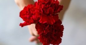 가정의 달 기념 경산시립교향악단 기획연주회 음악동화 피터와 늑대 | 위키트리 가정의 달 기념 경산시립교향악단 기획연주회 음악동화 피터와... 