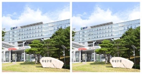 내 고장’포항에서 만나는 해양관광 | 위키트리 내 고장’포항에서 만나는 해양관광
